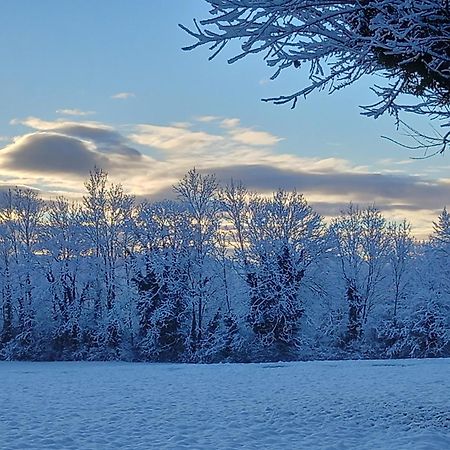 Valreley, Chambres Et Table D'Hotes Eco-Friendly Avec Bain Nordique Au Sud Du Massif Du Jura Champagne-en-Valromey Екстериор снимка