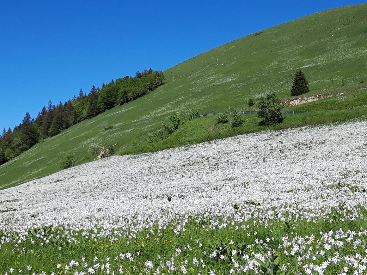 Valreley, Chambres Et Table D'Hotes Eco-Friendly Avec Bain Nordique Au Sud Du Massif Du Jura Champagne-en-Valromey Екстериор снимка